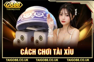 cách chơi tài xỉu
