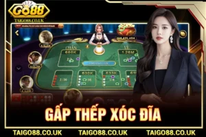 gấp thếp xóc đĩa