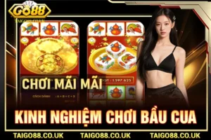kinh nghiệm chơi bầu cua